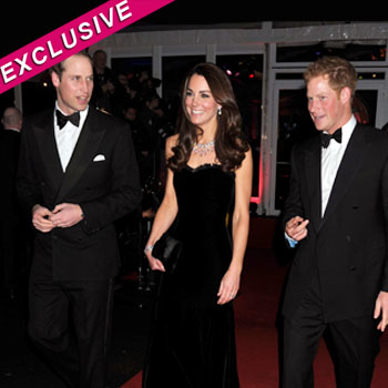 //prince harry questions banned trip