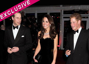 //prince harry questions banned trip