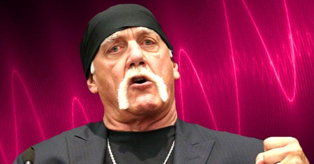 //hulk hogan n word rant audio pp
