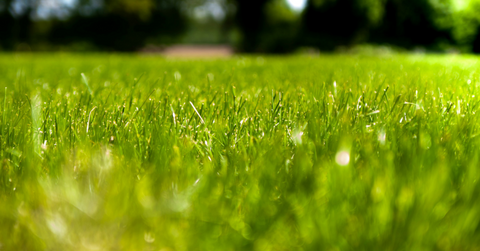 resultuntitled design t