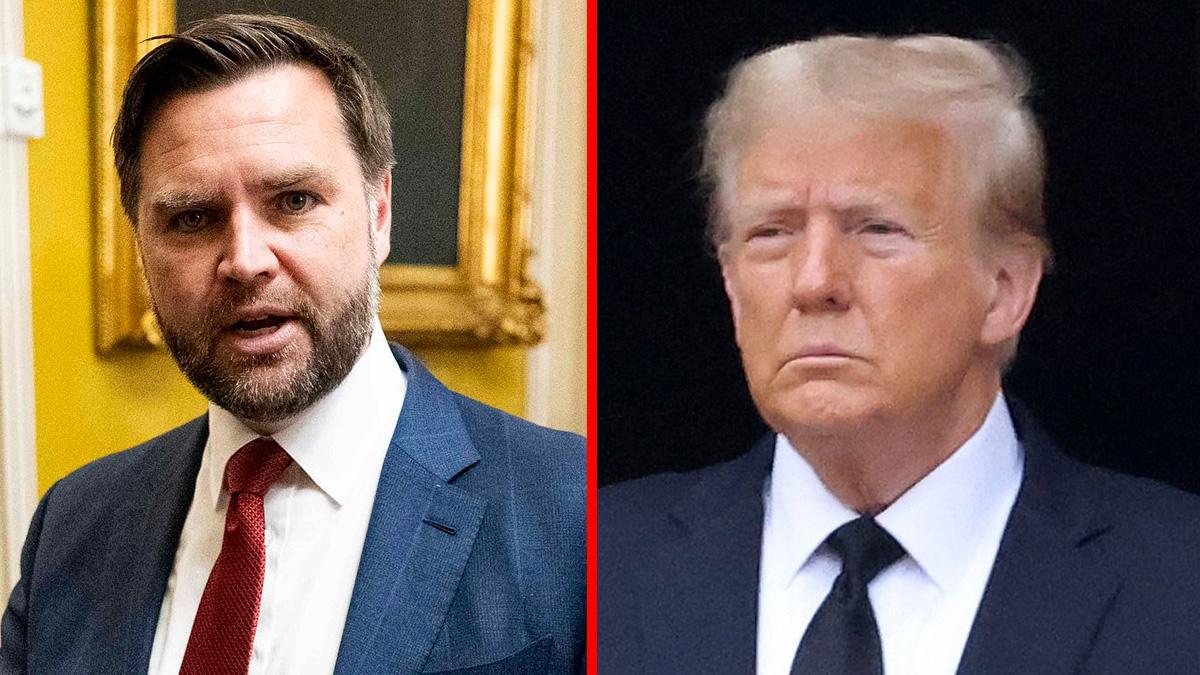 J.D. Vance disagreed with the allegations that the White House 'wasn't committed to full transparency' on the files.