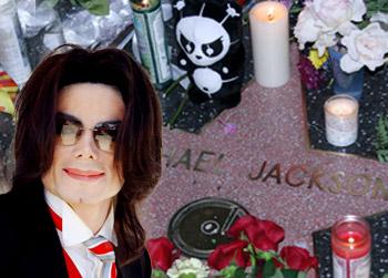 //pp_jacksontourguidesqu