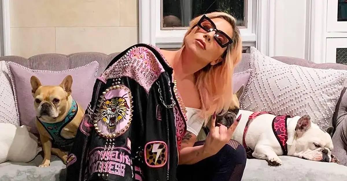 lady gaga slammed animal rights activists buying new dog