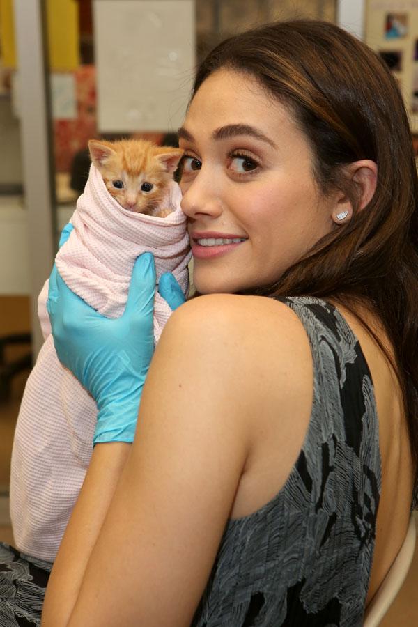 emmy rossum pets windows best friends animal society