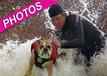 //surfing pups casting call splash