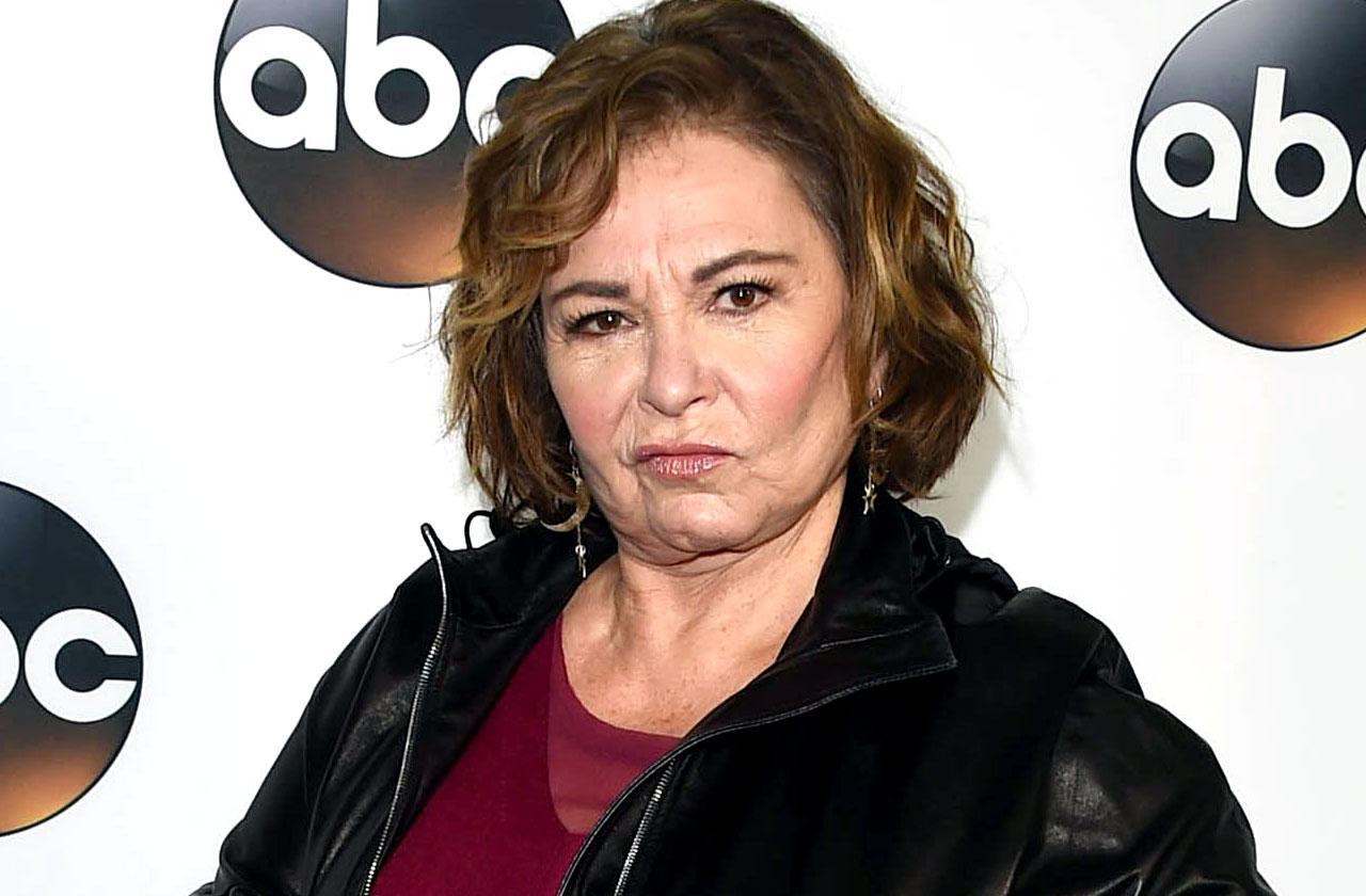 //roseanne barr show returns without her PP