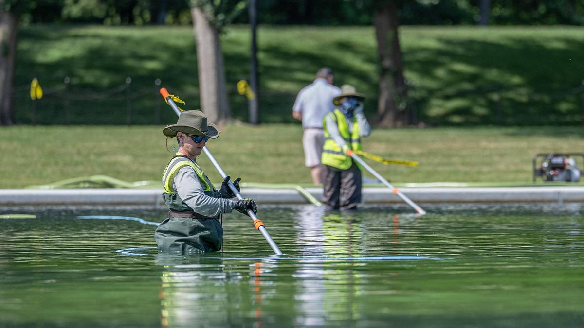 Lincoln Memorial Reflecting Pool