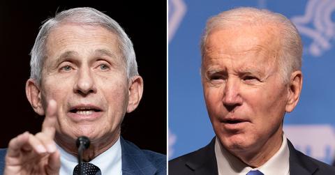 dr fauci testify defend joe biden administration covid omicron response