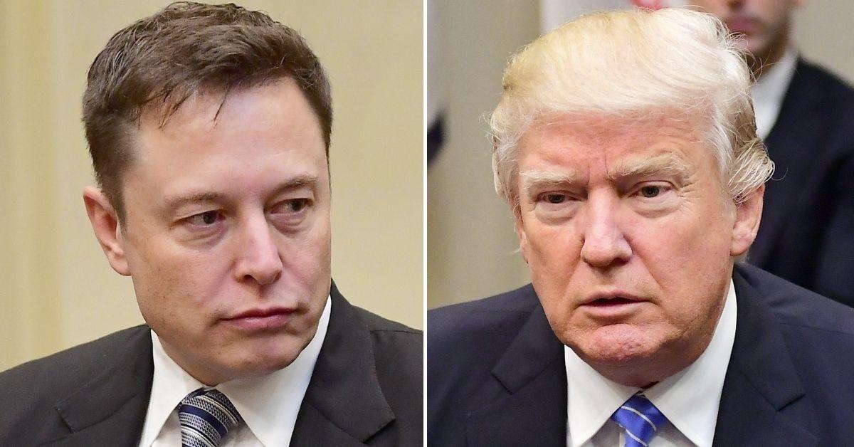 Split photo of Elon Musk and Donald Trump.