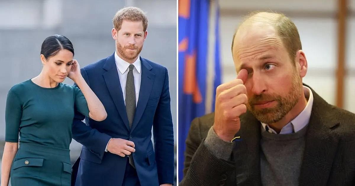 meghan markle prince harry prince william pp