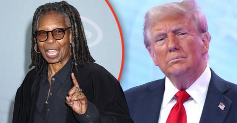 Whoopi Goldberg couldn't muster any actual tears for Donald Trump on 'The View.'