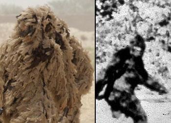 //man dressed bigfoot hit car