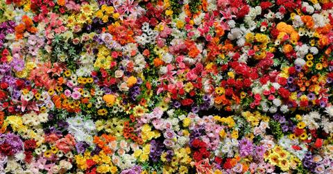 resultjulien chatelain fsivwuibgw unsplash