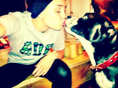 //miley cyrus twitter
