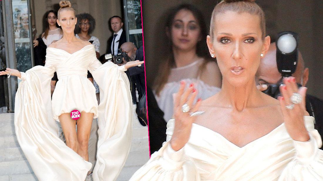 Celine Dion Suffers Wardrobe Malfunction Scary Skinny