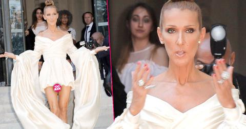 Celine Dion Suffers Wardrobe Malfunction Scary Skinny