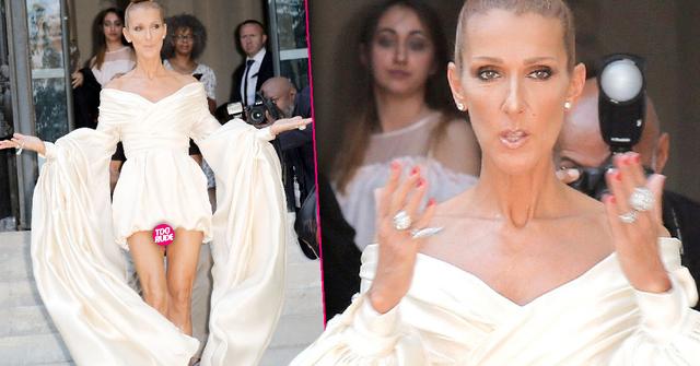 Celine Dion Suffers Wardrobe Malfunction Scary Skinny