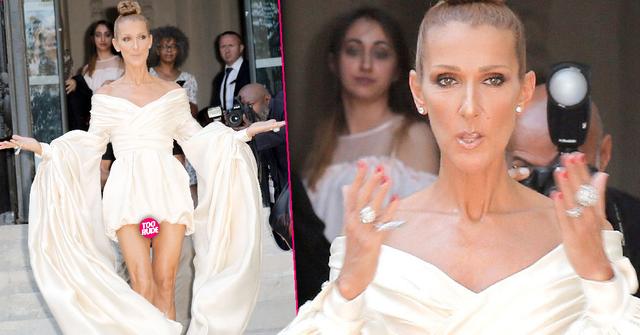 Celine Dion Suffers Wardrobe Malfunction Scary Skinny