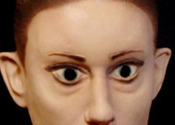 //s casey anthony mask large