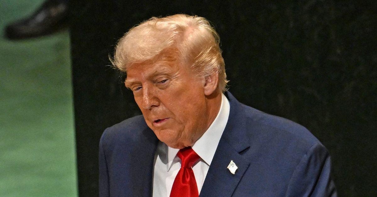 Picture of Donald Trump