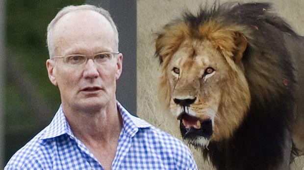 cecil the lion dentist walter palmer spotted year later