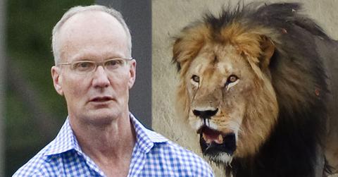 cecil the lion dentist walter palmer spotted year later