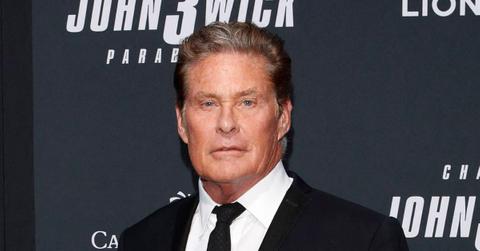 picture of David Hasselhoff