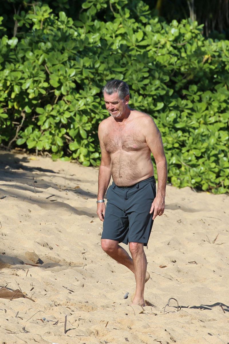 //pierce brosnan shirtless keely shaye smith bikini beach