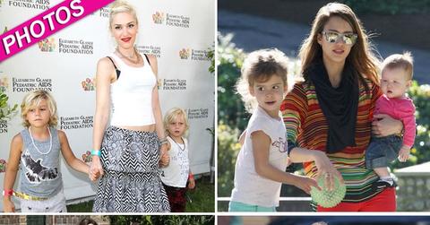 //hollywoods moms pcn spl fam fly