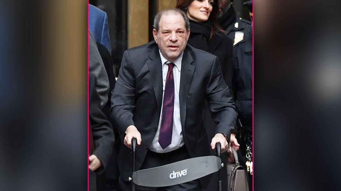 Harvey Weinstein guilty on two counts of criminal sexual assault and not guilty on three other countsnt/uploads/2020/02/Tori-Spelling-Finn-McDermott-Hattie-McDermott-Dean-McDermott-Stella-McDermott-and-Beau-McDermott-Jumanji.jpg