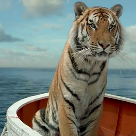 Life of Pi tiger nearly drowned on set, report alleges, Action and  adventure films