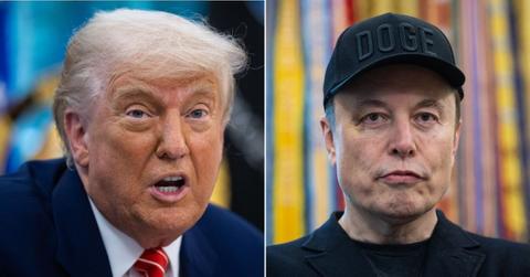 Split photo of Donald Trump, Elon Musk