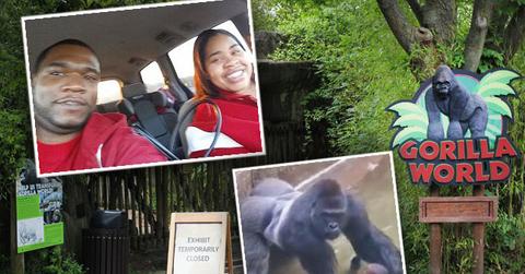 //cincinnati zoo gorila shooting harambe mom questioned police pp