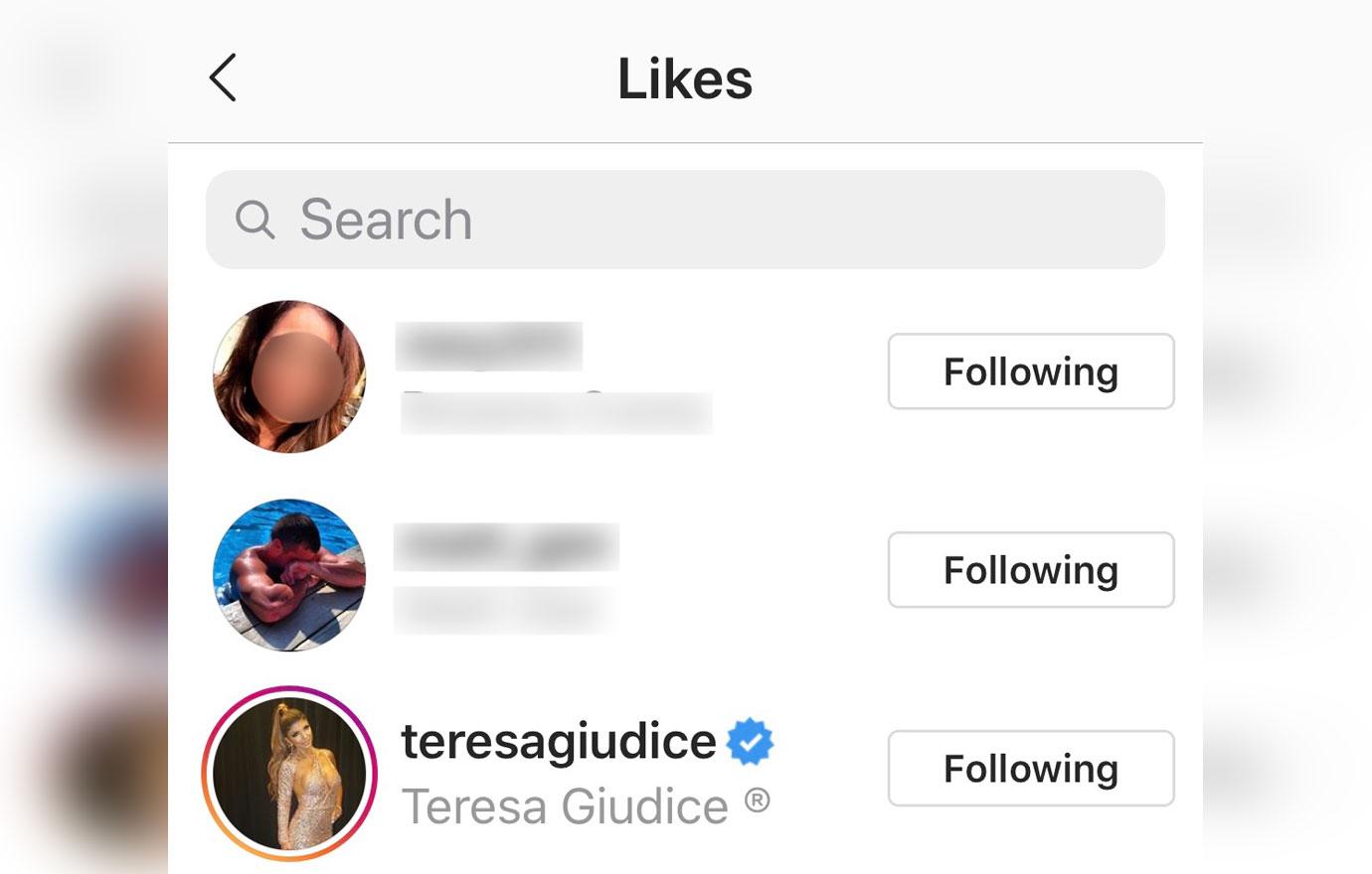 Instagram screenshot of Teresa Giudice Liking Brett Shrenk post