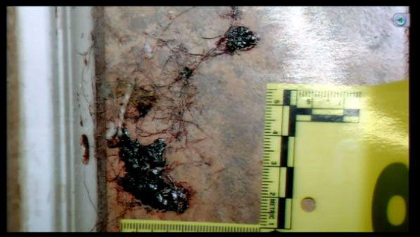 //jodi arias murder travis alexander bloody crime scene