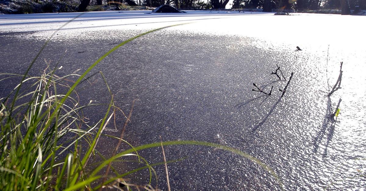 missing michigan doctor dead frozen pond