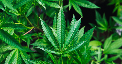 resultvalerie juliet valdez circle inset image templates x px