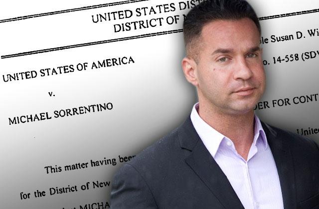 Stuck Shocking Delay In Mike The Situation Sorrentinos Tax Fraud Case 6769