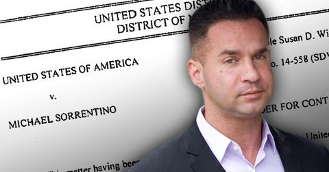 //jersey shore mike the situation sorrentino tax fraud trial