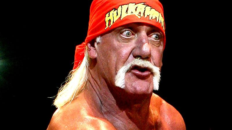Hulk Hogan FIRED From WWE After Radar's Exclusive N-Word Story ...