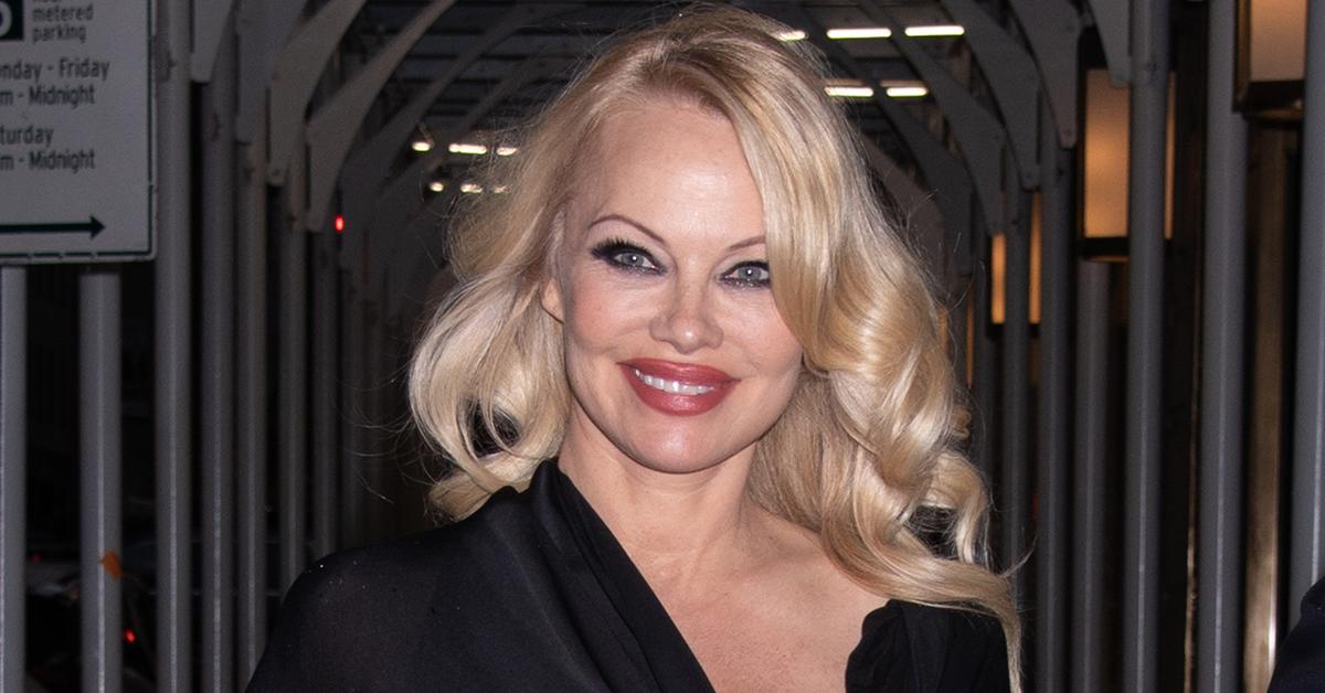 pam anderson tried to kill stab babysitter