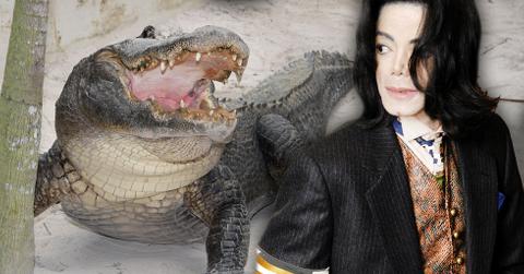 FOR LEGAL: More Duggar Hate! Fans In Uproar After Josh Supports Controversial ŒReligious Freedom¹ Bill