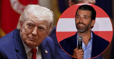 Picture of Donald Trump and Donald Trump Jr.