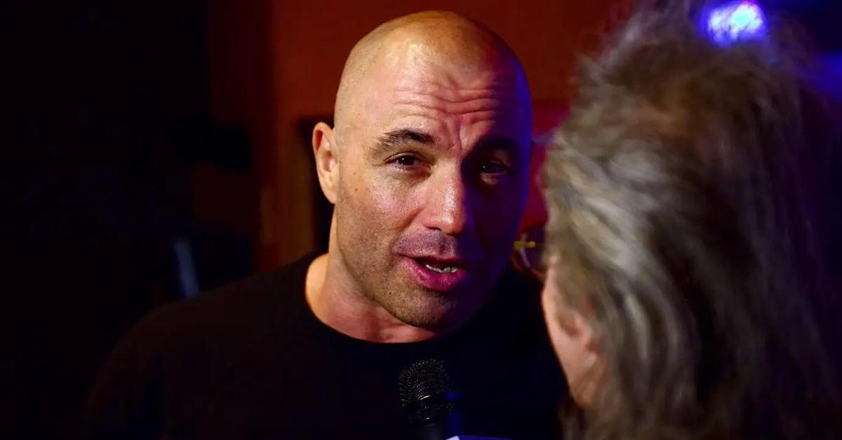 joe rogan roasts fired cnn media reporter brian stelter