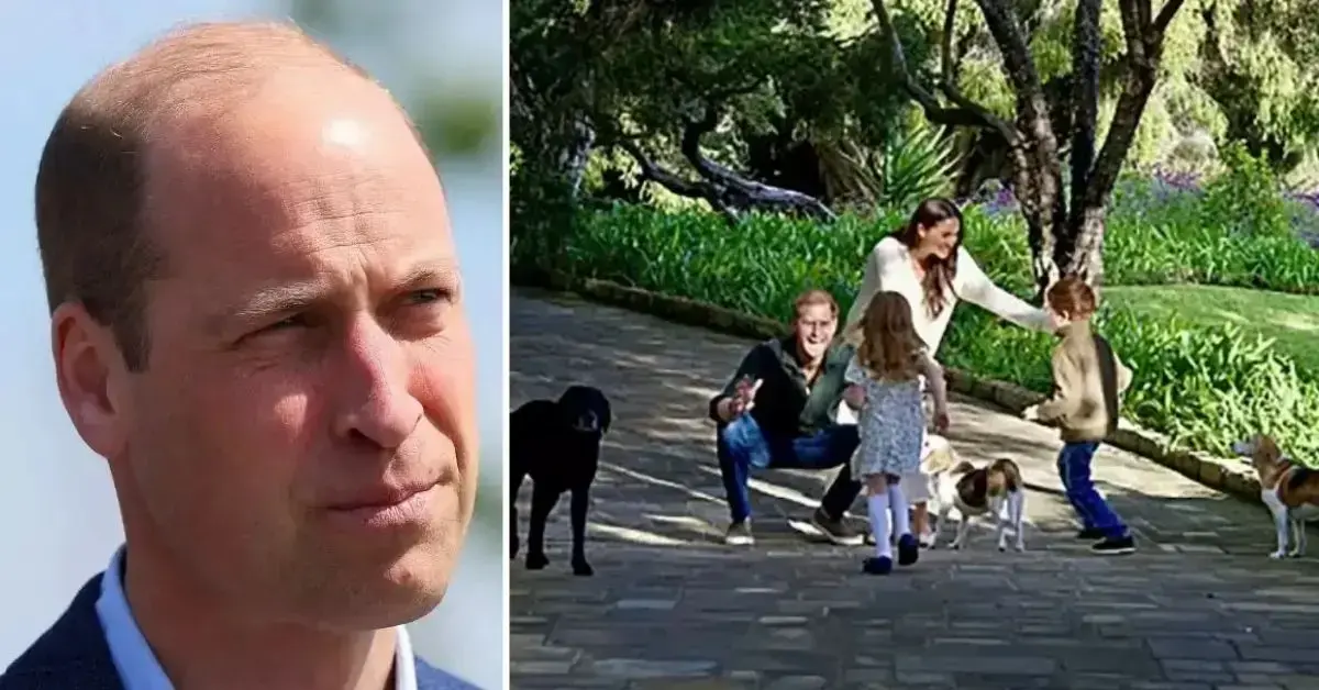 royal cull prince william never allow prince harry children become working royals