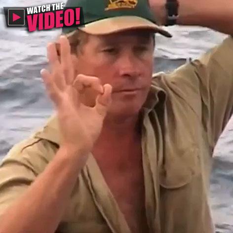 //steve irwin crocodile hunters final moments square