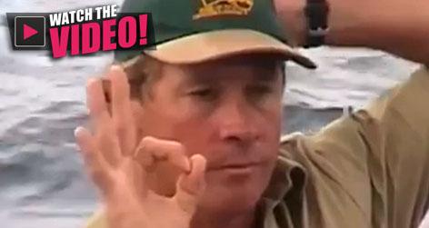 //steve irwin crocodile hunters final moments square