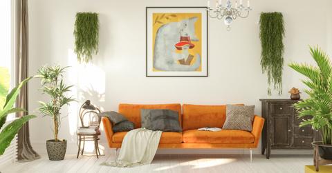 amazon prime day home kitchen necessities