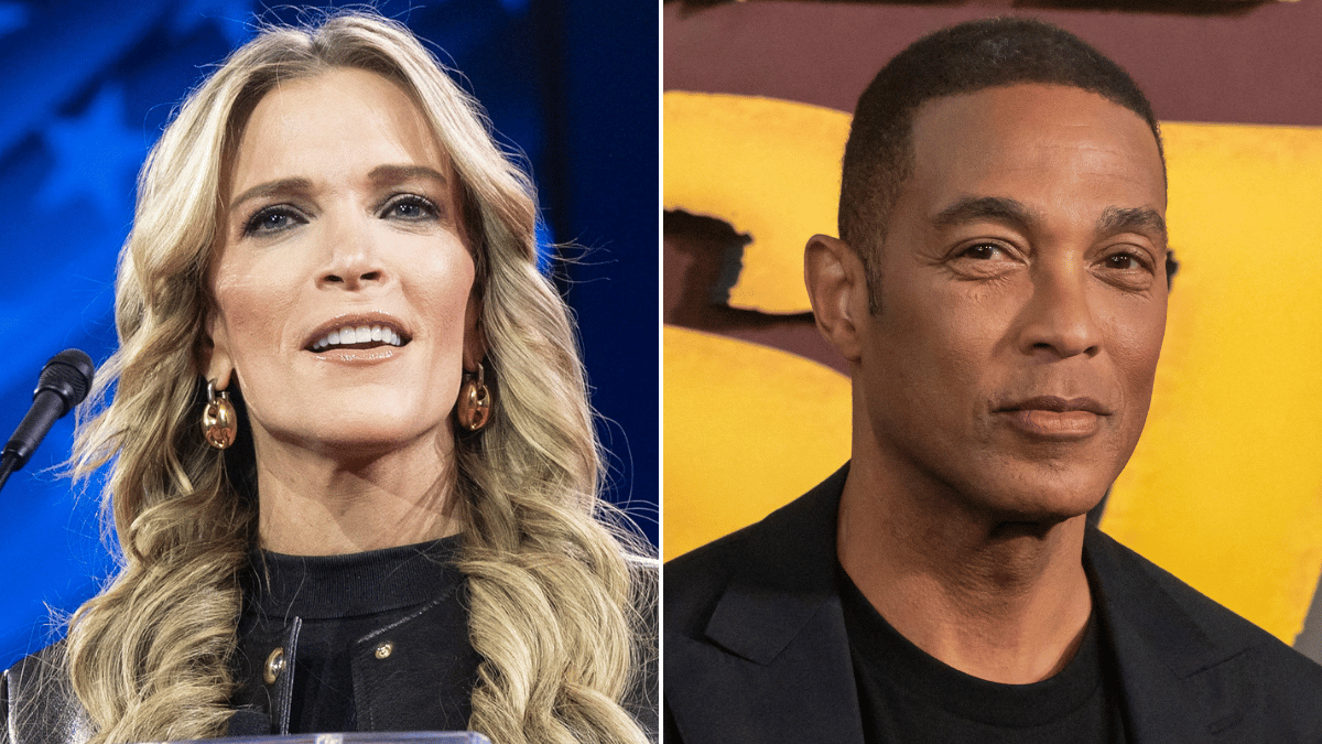 Split photo of Megyn Kelly, Don Lemon