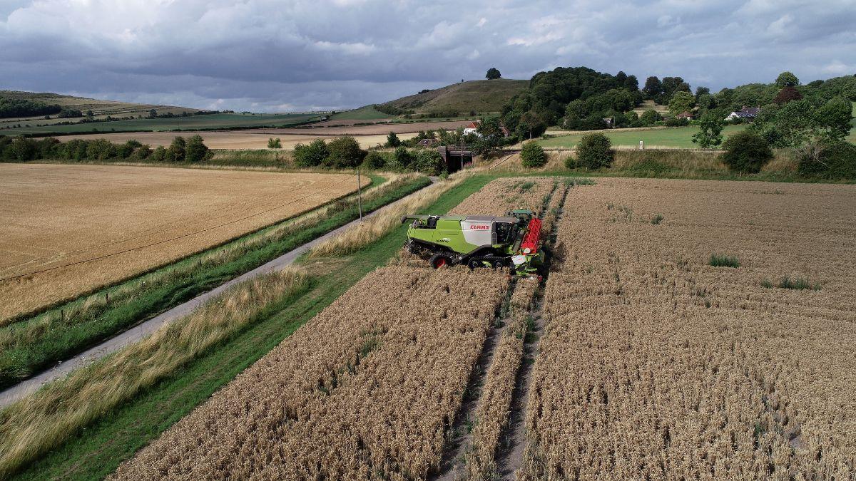 Photo of land being farmed